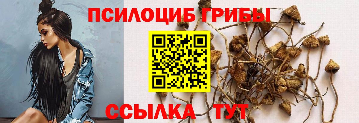 Галлюциногенные грибы Psilocybe  Псилоцибиновые грибы мухоморы  Вход с VPN  Тосно 